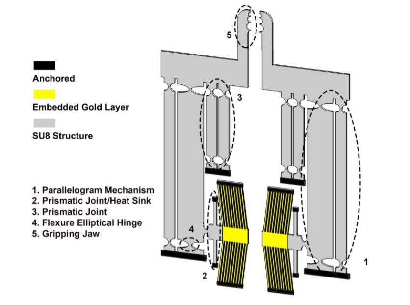 Gyroscope